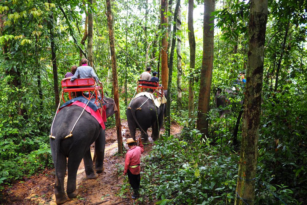 Why we love Thailand and Buriram 